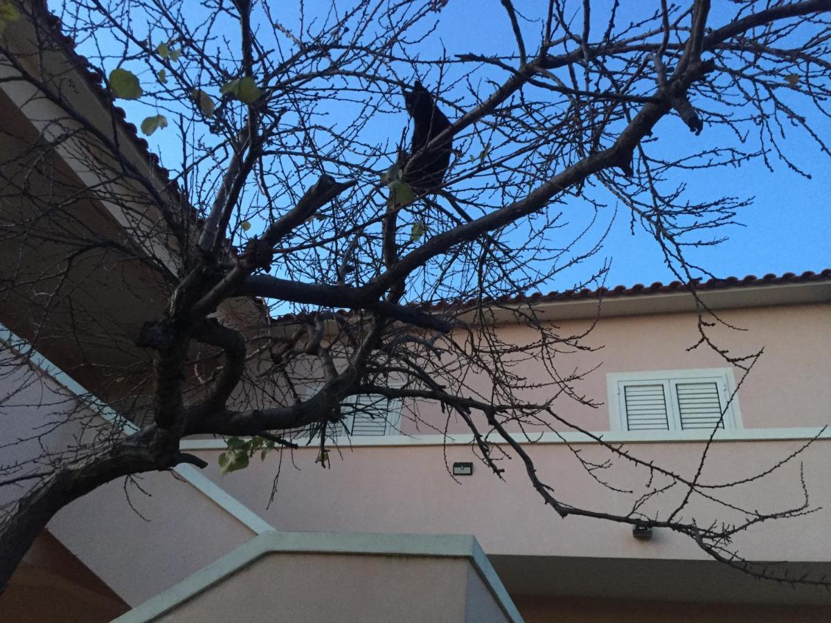 La Maison Di Zia Annina Olbia Exterior foto