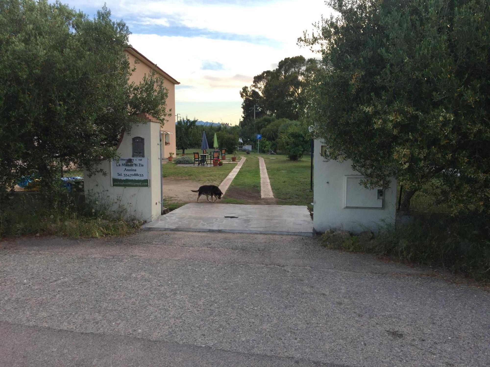 La Maison Di Zia Annina Olbia Exterior foto