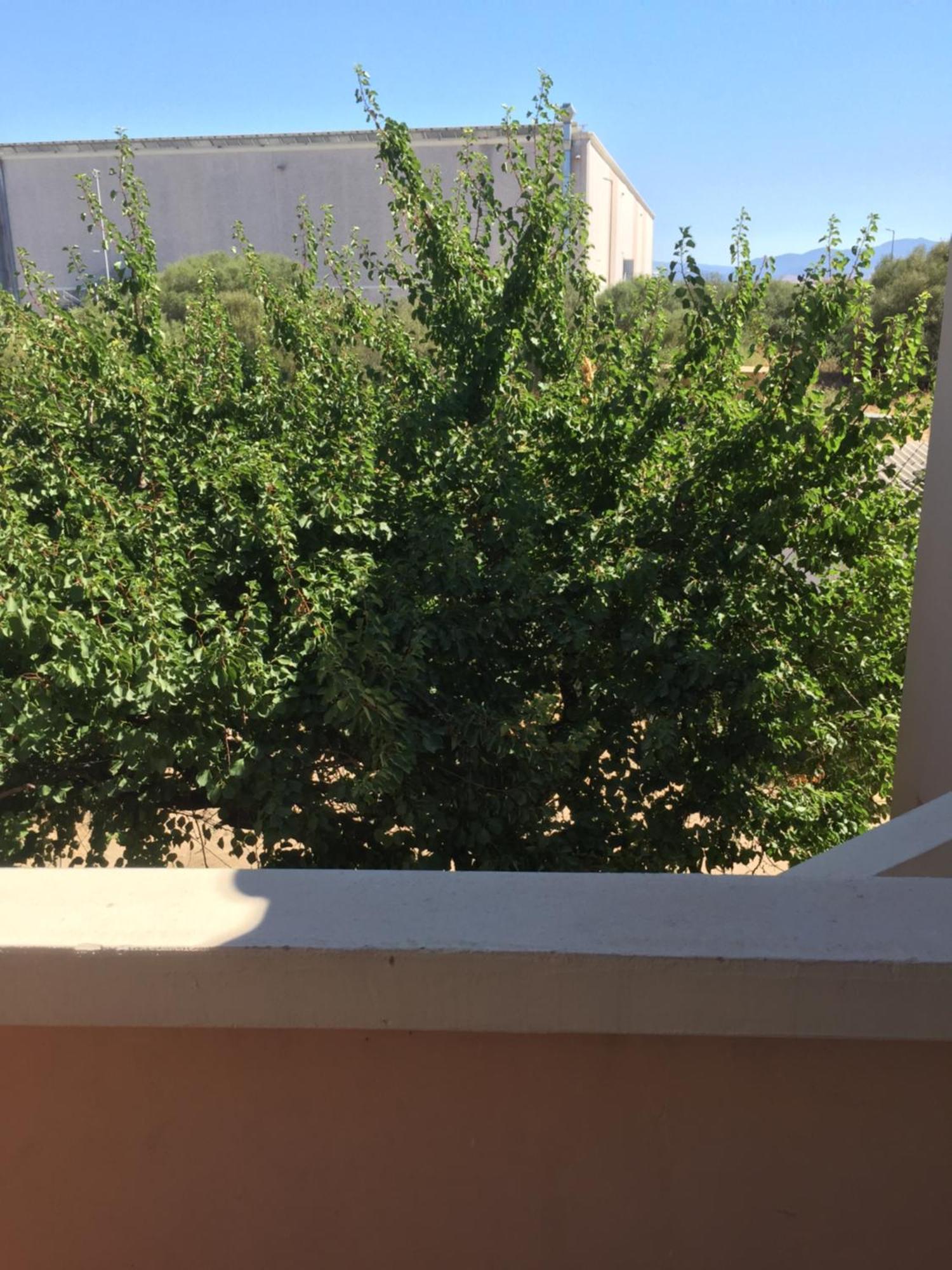 La Maison Di Zia Annina Olbia Exterior foto
