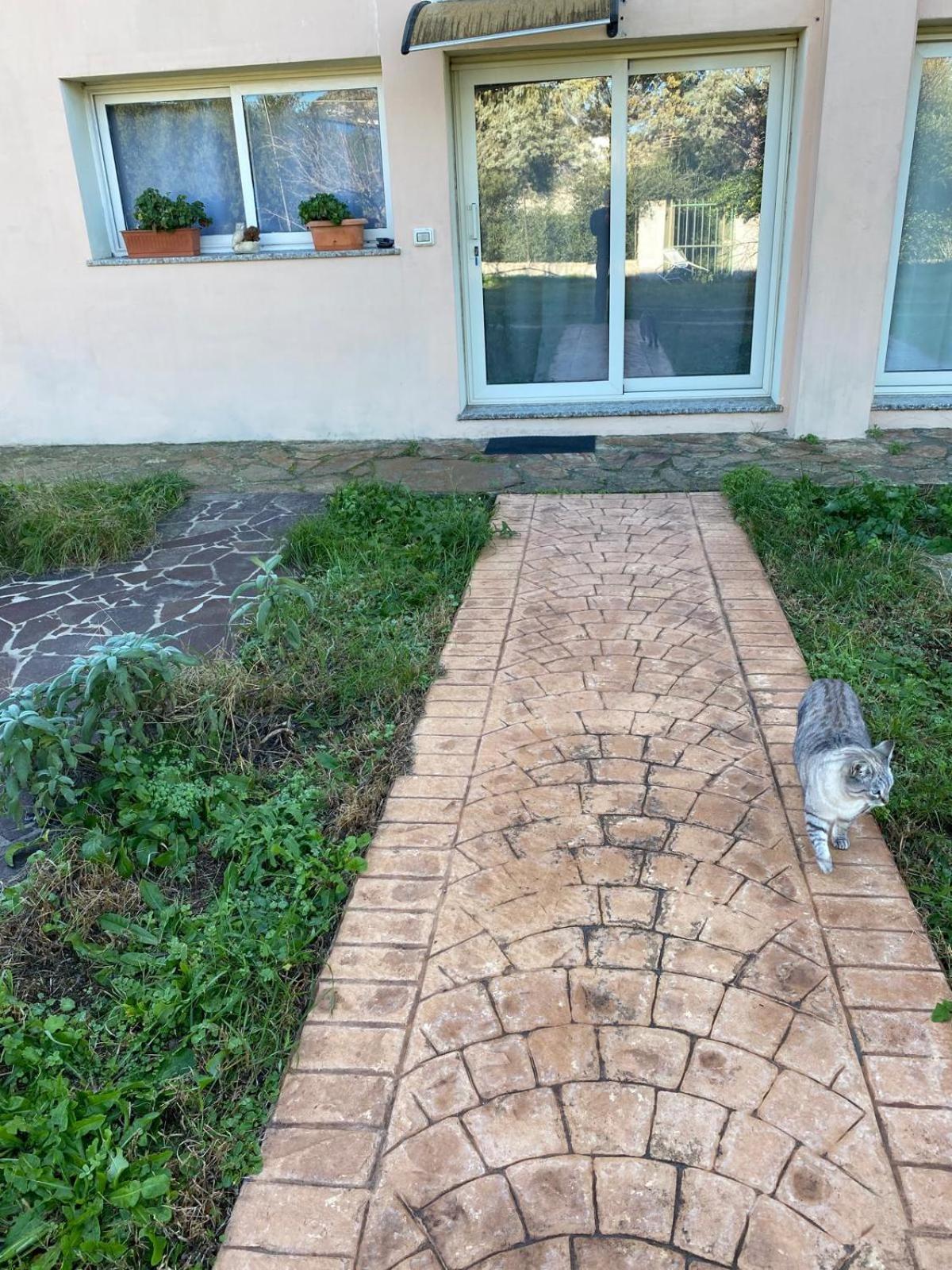 La Maison Di Zia Annina Olbia Exterior foto
